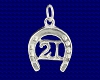 Sterling Silver 21 in Horseshoe charm